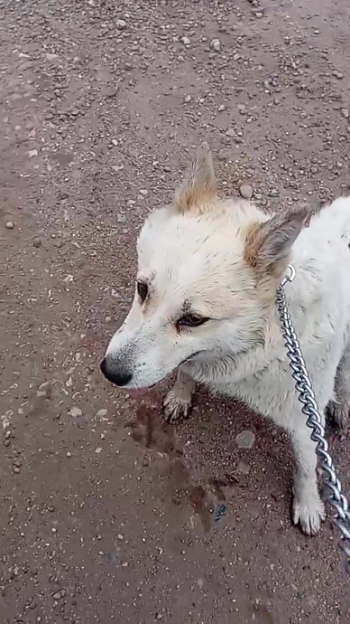 8ff64426