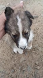 548e18c7