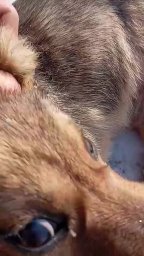 b4b721d8