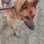 1e0acc1a